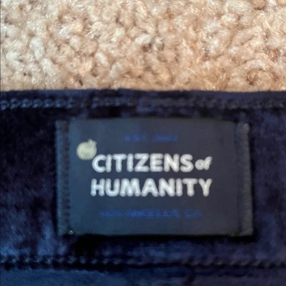 Citizens of Humanity Paloma Velvet Wide Pants - Picture 6 of 15